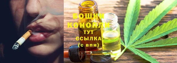 крисы Баксан