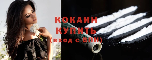 крисы Баксан