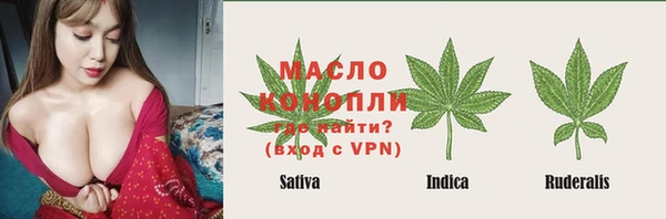 крисы Баксан