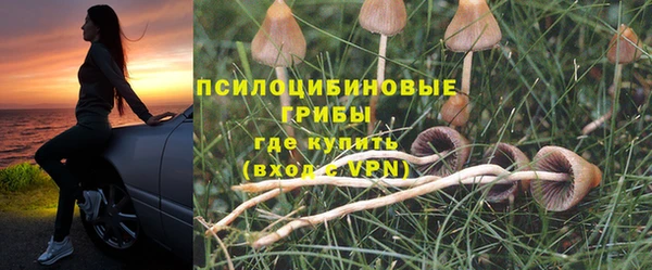 крисы Баксан