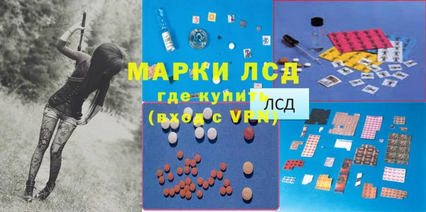 крисы Баксан