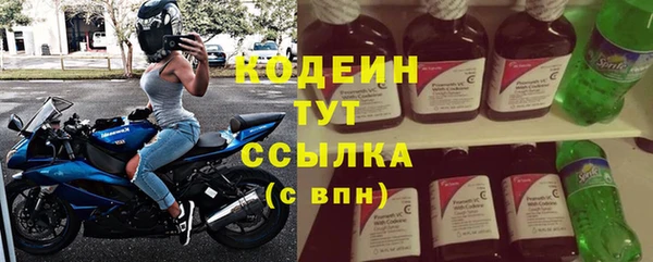крисы Баксан