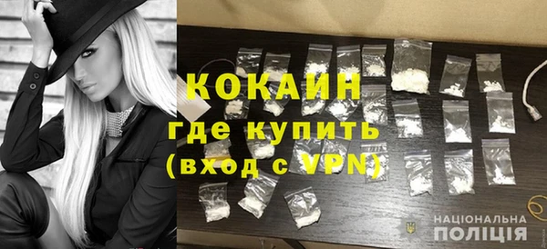 крисы Баксан